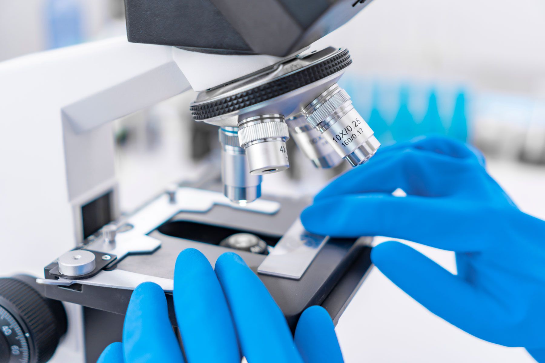 Biopsie im Labor