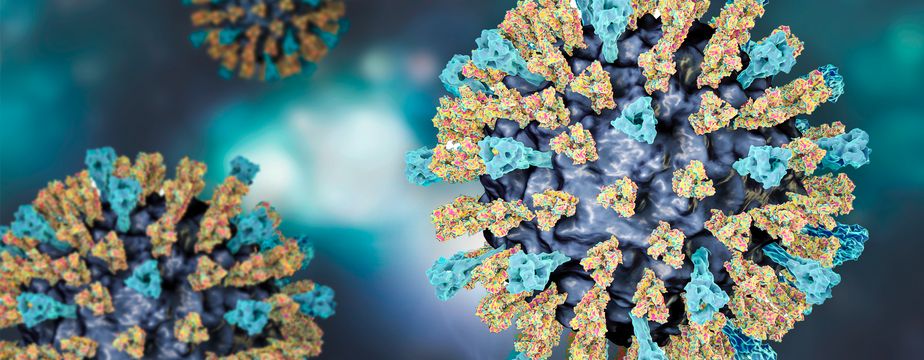 Illustration des Masernvirus