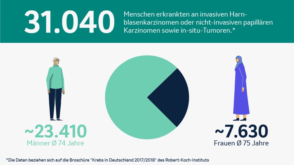 Die Grafik zeigt die Zahl der Neuerkrankungen an Blasenkrebs von Frauen und Männern im Jahr 2018 in Deutschland nach Zahlen des RKIs. Von den insgesamt 31.040 Neuerkrankungen entfielen 23.410 auf Männer und 7.630 auf Frauen. Das Durchschnittsalter bei Erkrankung lag bei Männern bei 74 Jahren und bei Frauen bei 75 Jahren.