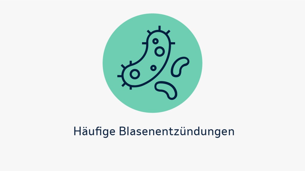 Die Grafik zeigt mögliche Anzeichen, die auf eine Blasenkrebs-Erkrankung hinweisen können. Anzeichen können Blut im Urin, häufige Blasenentzündungen, verstärkter Harndrang, Störungen bei der Blasenentleerung und/oder Schmerzen im Unterleib/in der Nierengegend sein. 