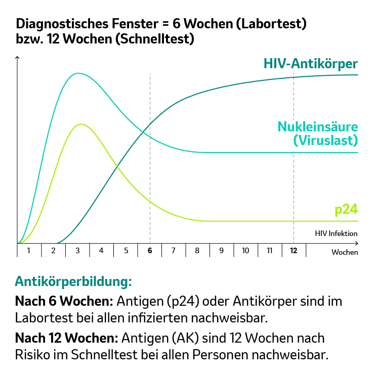 HIV – diagnostisches Fenster