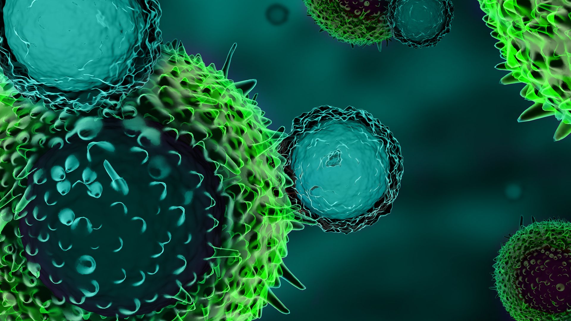 Mikroskopische 3D-Illustration von Krebs- bzw. Immunzellen vor dunklem Hintergrund.