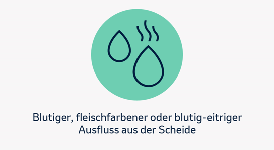 Blutiger, fleischfarbener oder blutig-eitriger Ausfluss aus der Scheide