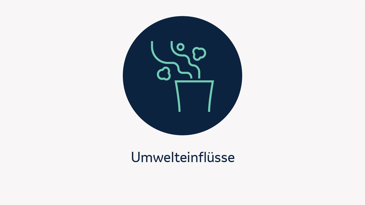 Zu sehen ist die schematische Darstellung eines qualmenden Industrieturmes. Darunter steht der Risikofaktor „Umwelteinflüsse“.
