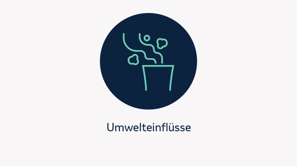 Die Abbildung zeigt den Risikofaktor Umwelteinfluss.