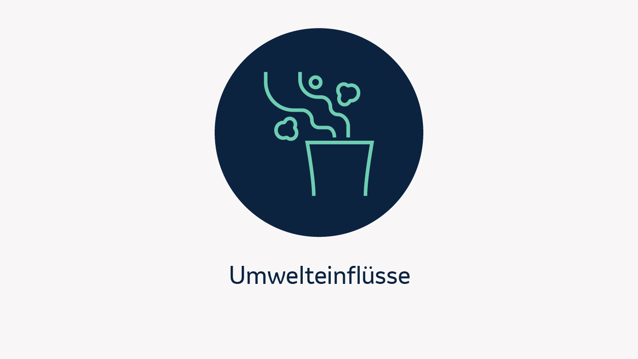 Die Abbildung zeigt den Risikofaktor Umwelteinfluss.