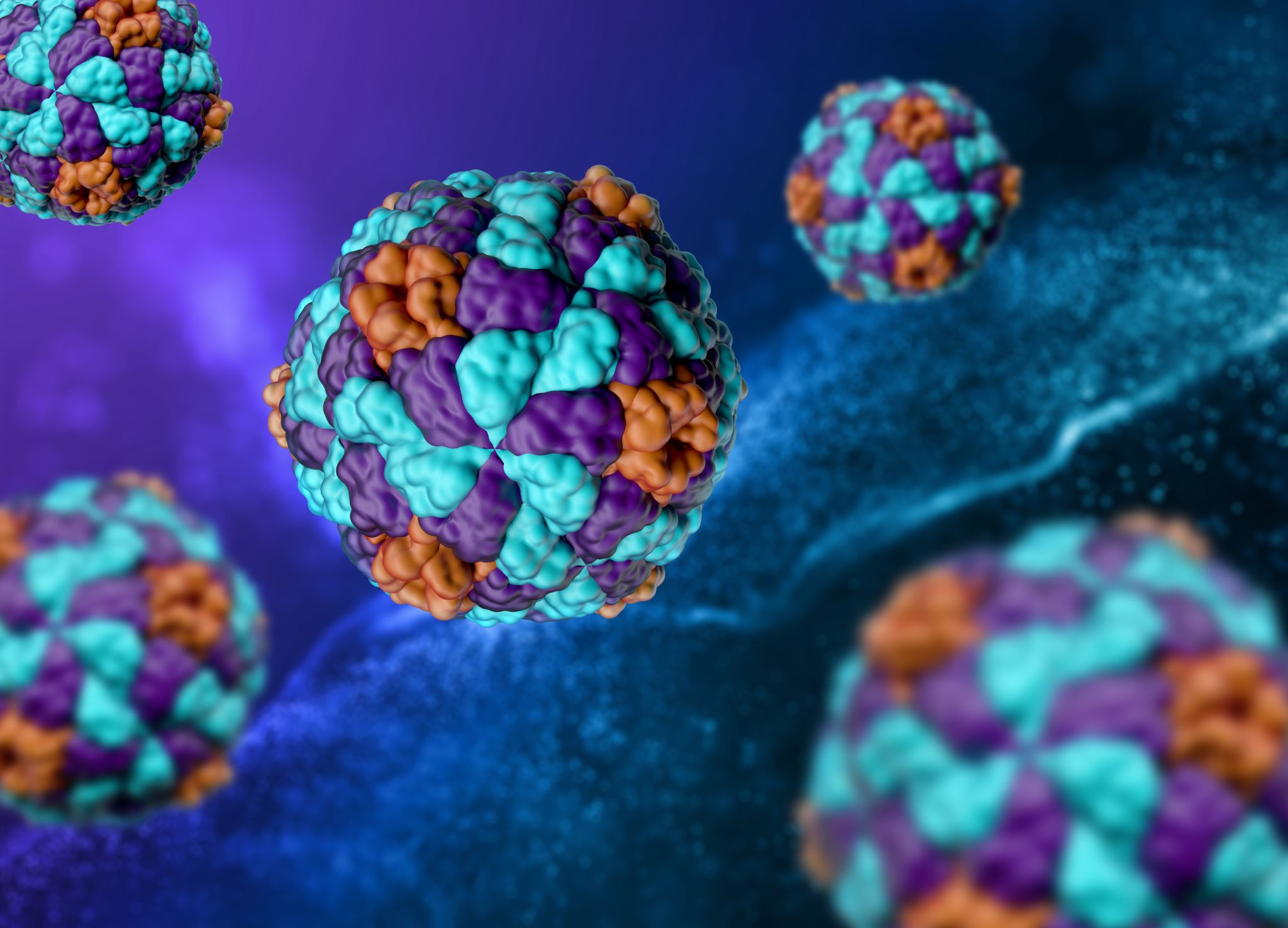 Hepatitis A-Viruspartikel 