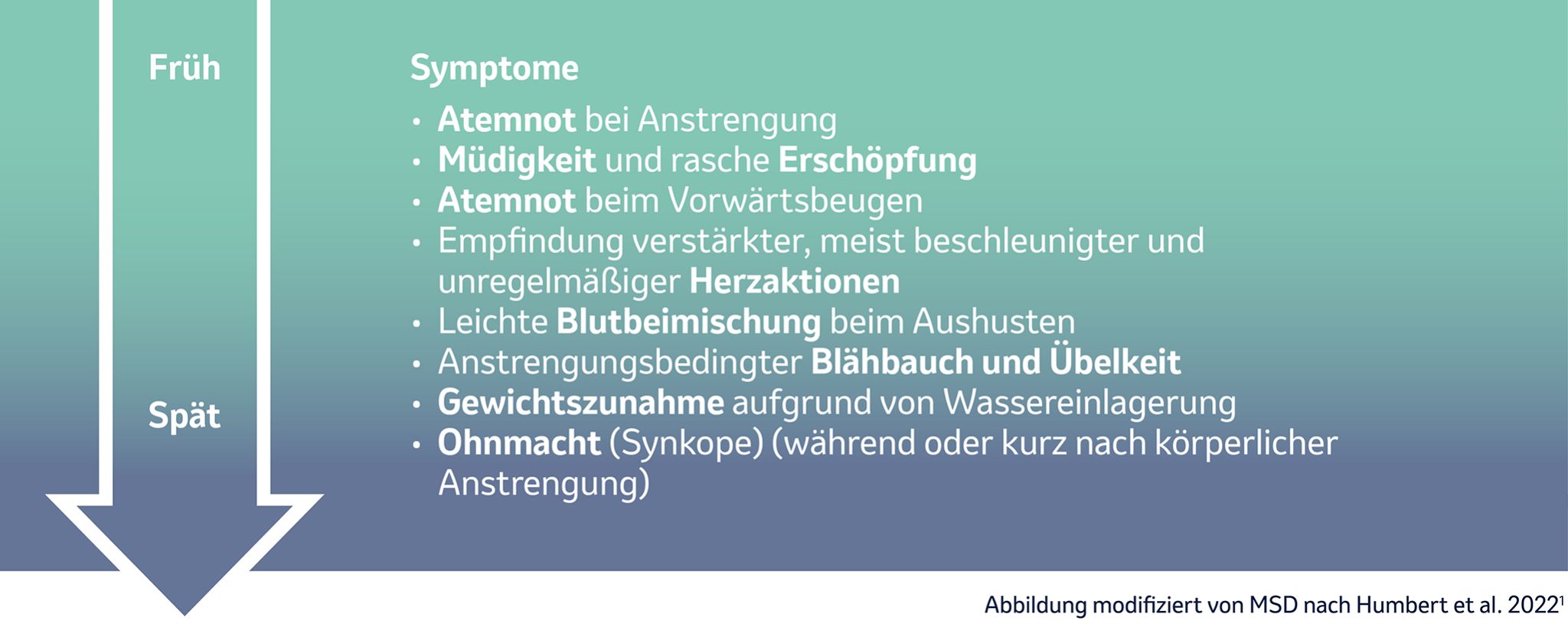 Grafik mit Auflistung typischer Symptome der pulmonalen Hypertonie bei fortschreitender Erkrankung