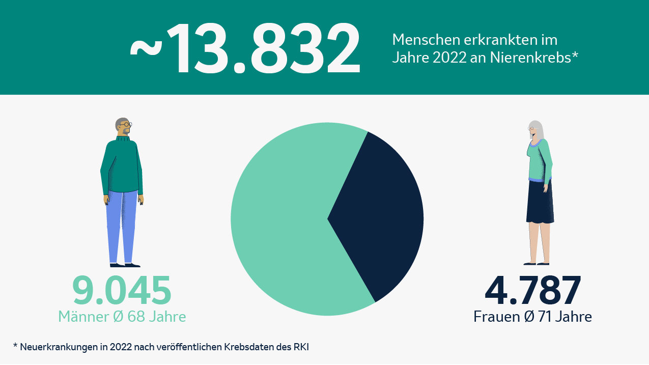 Infografik zur Anzahl der Neuerkrankungen an Nierenkrebs im Jahr 2022. Die Gesamtzahl der Betroffenen beträgt etwa 13.832 Menschen. Die Grafik zeigt eine Aufteilung nach Geschlecht: 9.045 Männer (durchschnittliches Alter: 68 Jahre) und 4.787 Frauen (durchschnittliches Alter: 71 Jahre). Die visuelle Darstellung beinhaltet eine Tortengrafik mit einer farblichen Unterscheidung zwischen Männern und Frauen sowie stilisierte Figuren beider Geschlechter. Quelle: Krebsdaten des RKI (Robert Koch-Institut).