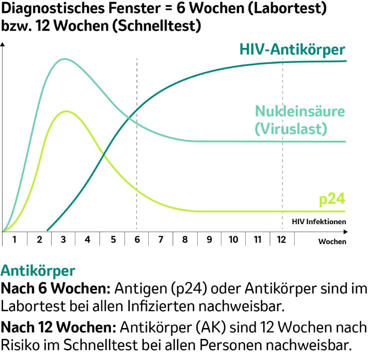 Abbildung zum diagnostischen Fenster nach einer HIV-Infektion